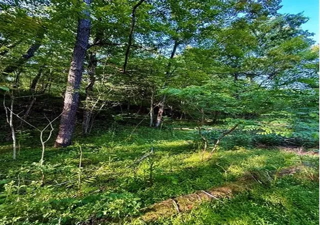 Photo 3 of Land for sale at 0 Nellie School Rd, Vanderbilt, PA 15486 | MLS# 1763286 | Listing updated on 2026-07-06