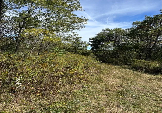 11th image of Lot#1 Christie Rd, Washington Twp, PA 16061 | MLS# 1763646