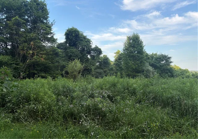 3rd image of Lot#1 Christie Rd, Washington Twp, PA 16061 | MLS# 1763646