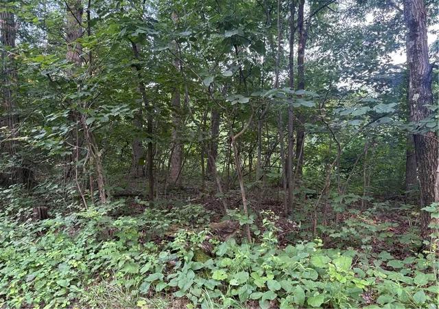 4th image of Lot#1 Christie Rd, Washington Twp, PA 16061 | MLS# 1763646