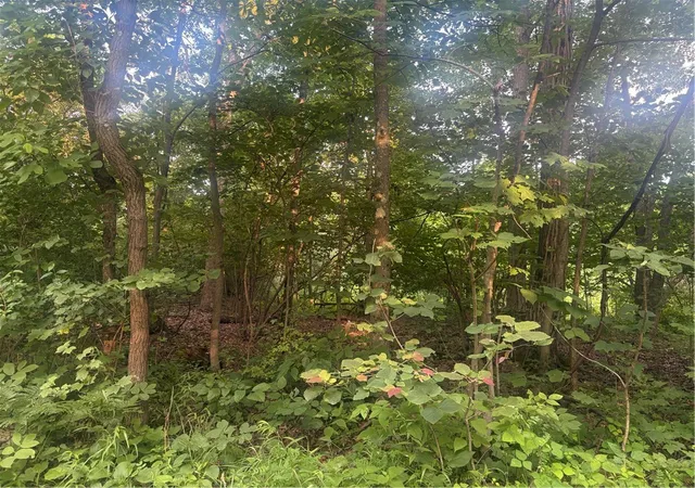 5th image of Lot#1 Christie Rd, Washington Twp, PA 16061 | MLS# 1763646