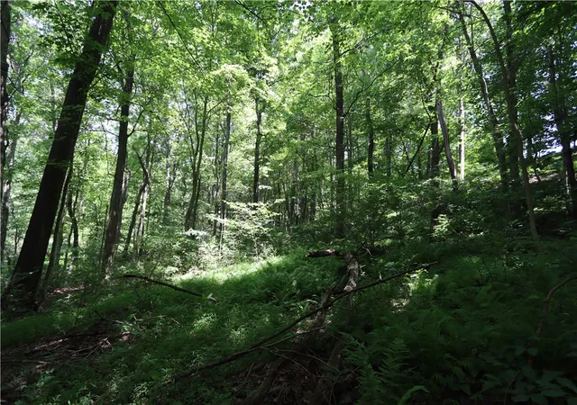 42nd image of 208 Howard Rd, Sewickley, PA 15143 | MLS# 1763655