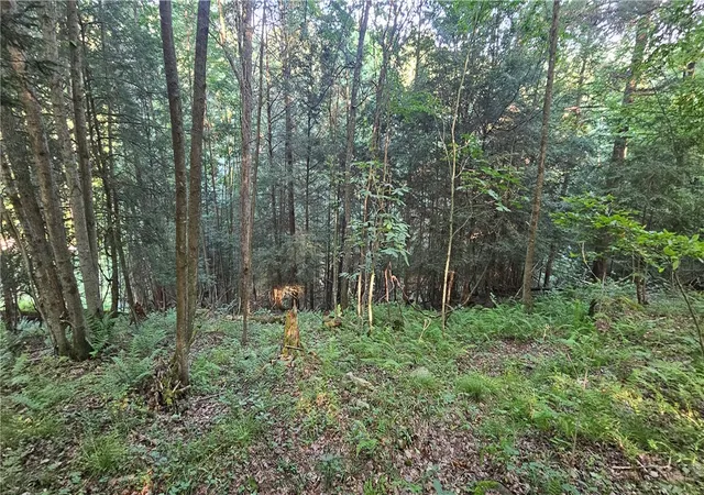 5th image of 0 Rockland Station Rd, Rockland Twp, PA 16374 | MLS# 1764033