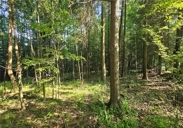 9th image of 0 Rockland Station Rd, Rockland Twp, PA 16374 | MLS# 1764033