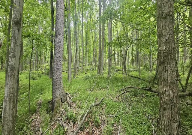 2nd image of 0000 Reservoir Road, Bell Twp, PA 15681 | MLS# 1764046