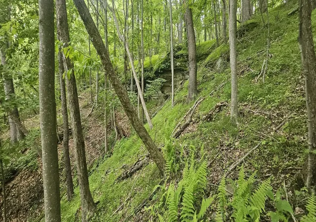 4th image of 0000 Reservoir Road, Bell Twp, PA 15681 | MLS# 1764046