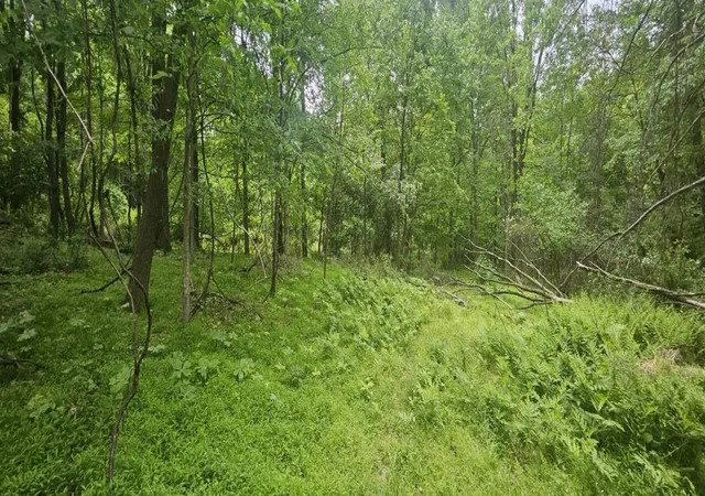 5th image of 0000 Reservoir Road, Bell Twp, PA 15681 | MLS# 1764046