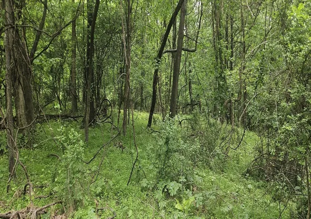 9th image of 0000 Reservoir Road, Bell Twp, PA 15681 | MLS# 1764046
