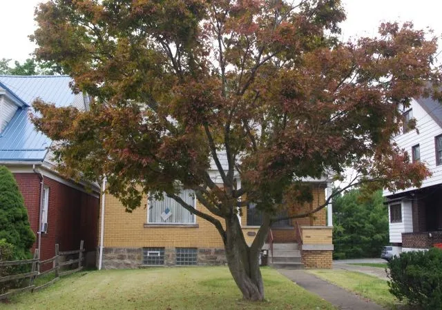 2nd image of 1105 Monroeville Ave, Turtle Creek, PA 15145 | MLS# 1764135