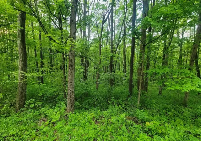 Homes for sale in Springfield Twp, PA | 190-192 Hawkins Hollow Rd, Springfield Twp, PA 15425 | MLS# 1764699
