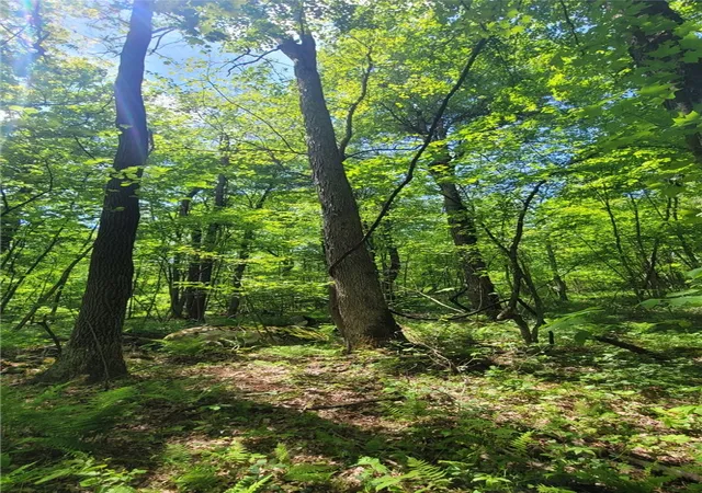 1st image of 166 Camp Achievement Rd, Springfield Twp, PA 15469 | MLS# 1764710