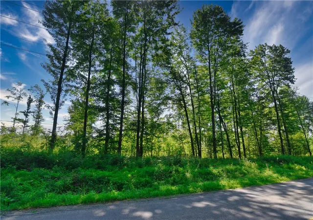 Homes for sale in Conneautville, PA | 0 S Norrisville Rd, Conneautville, PA 16406 | MLS# 1765006