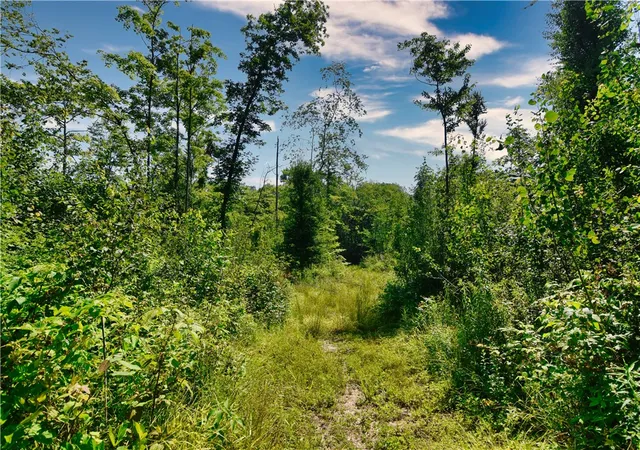 Homes for sale in Conneautville, PA | 0 S Norrisville Rd, Conneautville, PA 16406 | MLS# 1765006