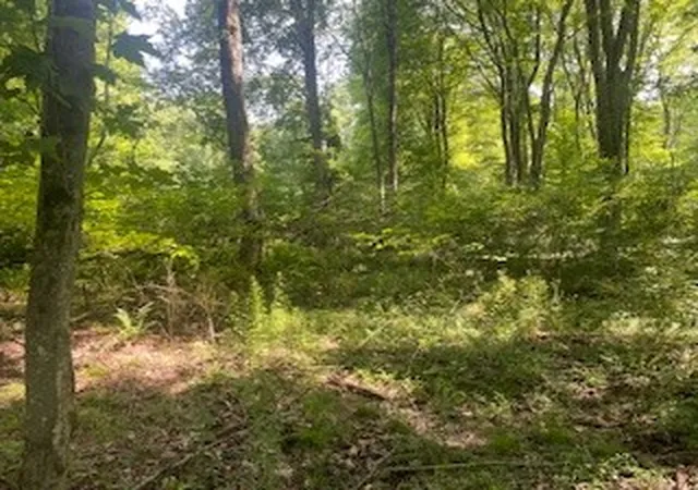 2nd image of 0 West Ln, Slippery Rock, PA 16057 | MLS# 1764667