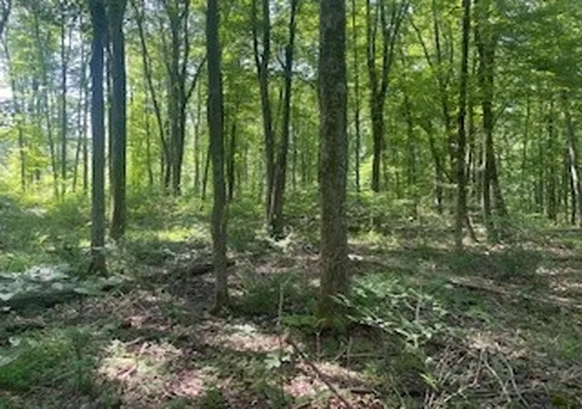 3rd image of 0 West Ln, Slippery Rock, PA 16057 | MLS# 1764667