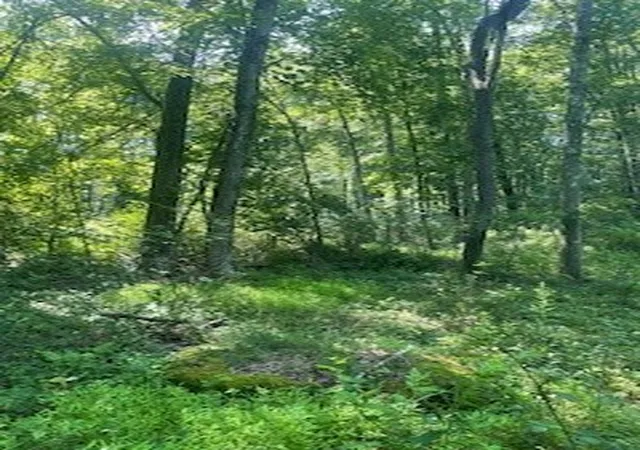 5th image of 0 West Ln, Slippery Rock, PA 16057 | MLS# 1764667