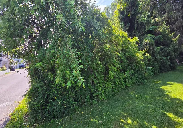 Photo 3 of Land for sale at 139 Somerset Ave, Jerome, PA 15937 | MLS# 1763204 | Listing updated on 2026-07-16