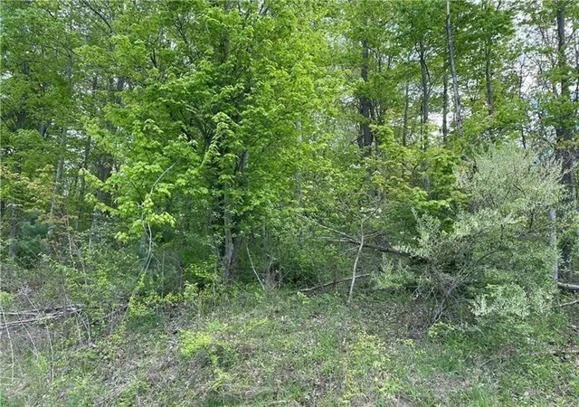 Homes for sale in Unity  Twp, PA | Lot 102 Lakewood Road, Unity  Twp, PA 15601 | MLS# 1765210