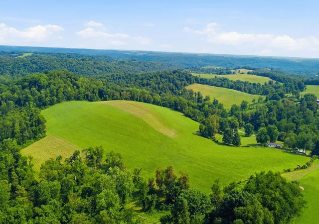 38th image of 45 Shades Of Death Rd, Avella, PA 15312 | MLS# 1764880
