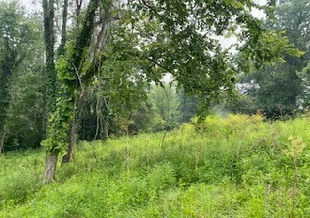 Homes for sale in Rostraver, PA | 000 Pawnee, Rostraver, PA 15012 | MLS# 1765432