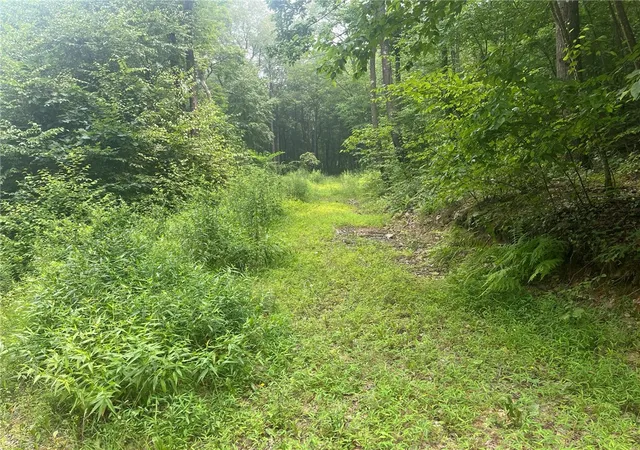 1st image of Lot 10 Off Camp Run Rd, Donegal, PA 15628 | MLS# 1765301