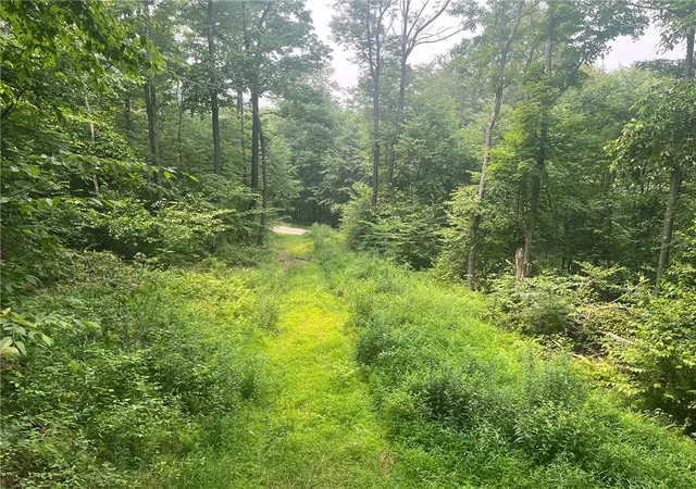 2nd image of Lot 10 Off Camp Run Rd, Donegal, PA 15628 | MLS# 1765301
