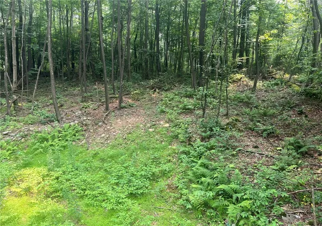 3rd image of Lot 10 Off Camp Run Rd, Donegal, PA 15628 | MLS# 1765301