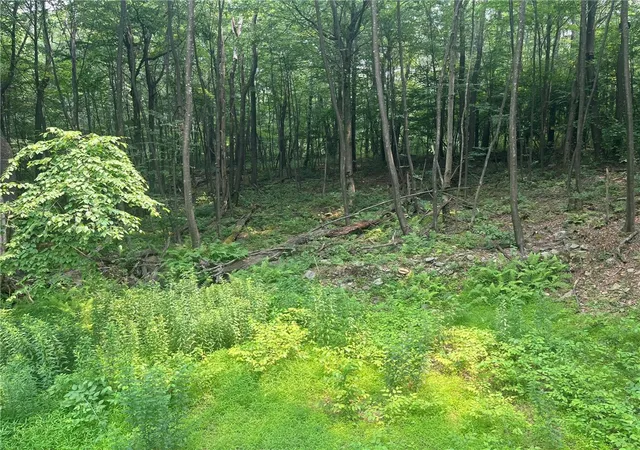 4th image of Lot 10 Off Camp Run Rd, Donegal, PA 15628 | MLS# 1765301