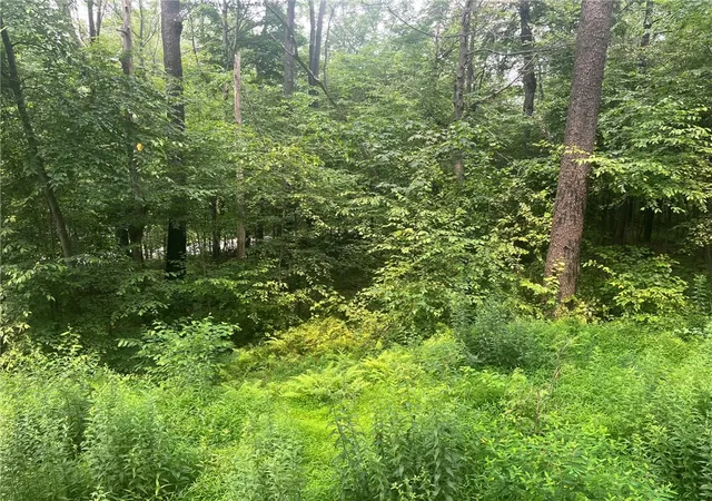 5th image of Lot 10 Off Camp Run Rd, Donegal, PA 15628 | MLS# 1765301