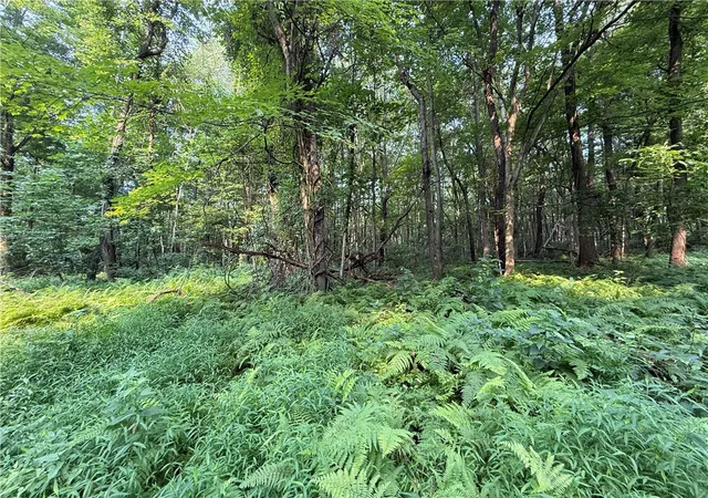 26th image of 0 Dappenbrook Rd, Brighton Twp, PA 15009 | MLS# 1765050