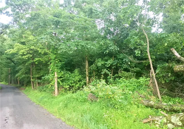 1st image of 0 Palko Road, Saltsburg, PA 15681 | MLS# 1765618