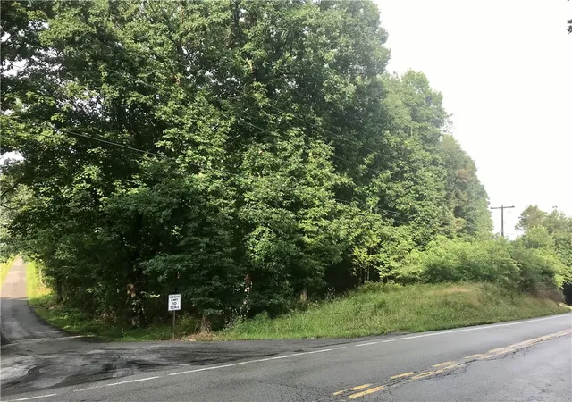 23rd image of 0 Palko Road, Saltsburg, PA 15681 | MLS# 1765618