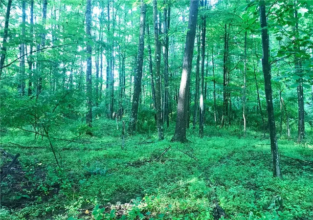 2nd image of 0 Palko Road, Saltsburg, PA 15681 | MLS# 1765618