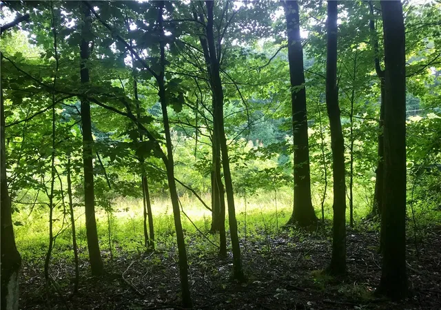 3rd image of 0 Palko Road, Saltsburg, PA 15681 | MLS# 1765618