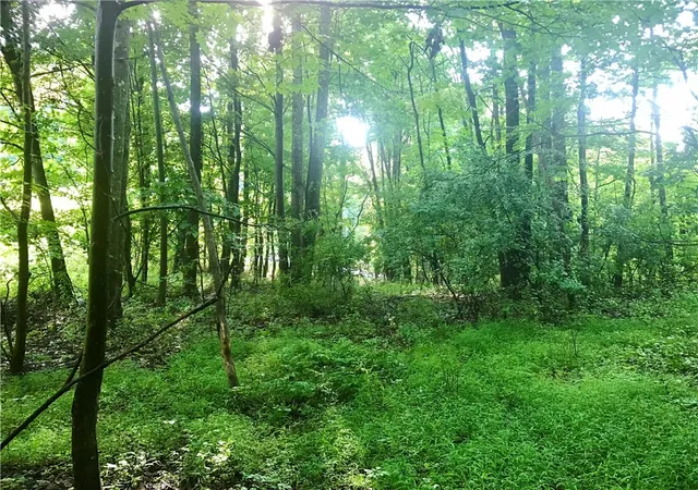 4th image of 0 Palko Road, Saltsburg, PA 15681 | MLS# 1765618