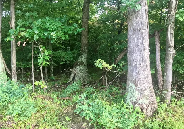 5th image of 0 Palko Road, Saltsburg, PA 15681 | MLS# 1765618