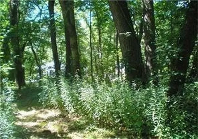 1st image of 0 Craig St, Beaver Falls, PA 15010 | MLS# 1765759