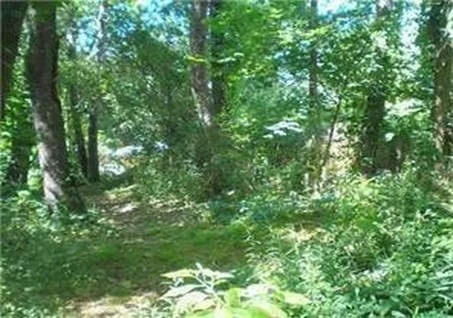 3rd image of 0 Craig St, Beaver Falls, PA 15010 | MLS# 1765759