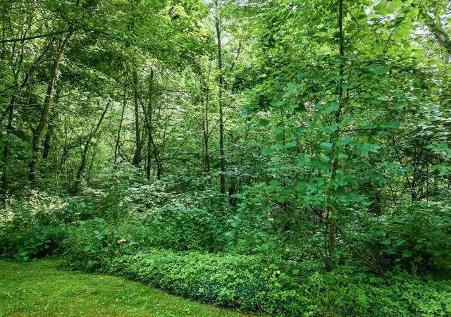 32nd image of 61 High Oak Farm Lane, Pulaski, PA 16143 | MLS# 1765863