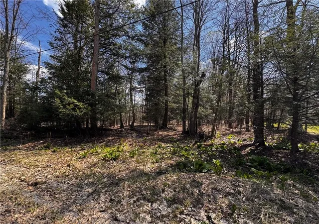 2nd image of Lot 4 Lake Rd & Danner Dr, Canadohta Lake, PA 16438 | MLS# 1766712
