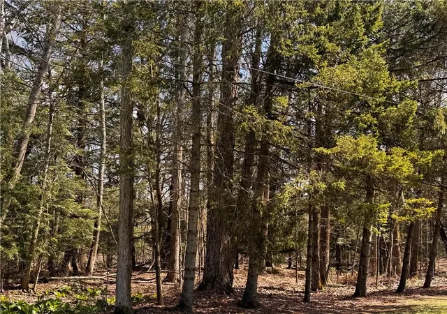 3rd image of Lot 4 Lake Rd & Danner Dr, Canadohta Lake, PA 16438 | MLS# 1766712