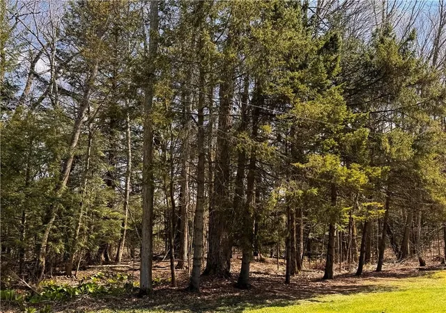 4th image of Lot 4 Lake Rd & Danner Dr, Canadohta Lake, PA 16438 | MLS# 1766712