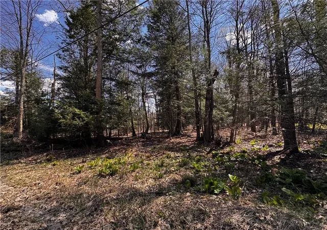 5th image of Lot 4 Lake Rd & Danner Dr, Canadohta Lake, PA 16438 | MLS# 1766712