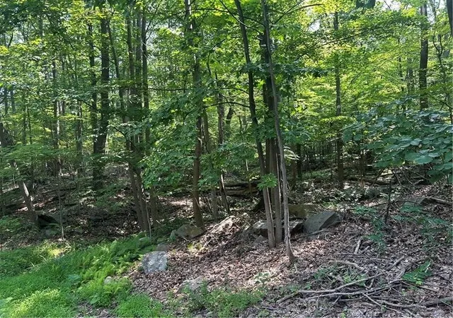 Land for sale at Lot 934 Ski Slope Rd, Bullskin Twp, PA 15610 | MLS# 1766736