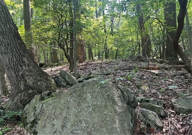 Photo 2 of Land for sale at Lot 934 Ski Slope Rd, Bullskin Twp, PA 15610 | MLS# 1766736 | Listing updated on 2026-07-28