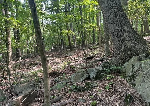 Photo 3 of Land for sale at Lot 934 Ski Slope Rd, Bullskin Twp, PA 15610 | MLS# 1766736 | Listing updated on 2026-07-28
