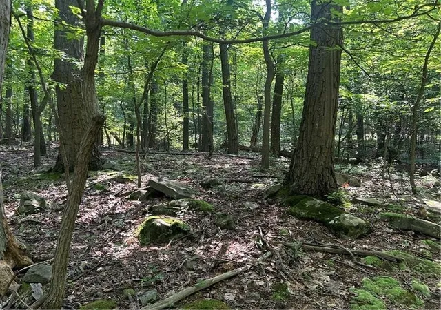 Photo 3 of Land for sale at Lot 934 Ski Slope Rd, Bullskin Twp, PA 15610 | MLS# 1766736 | Listing updated on 2026-07-28