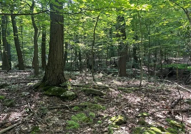 Photo 4 of Land for sale at Lot 934 Ski Slope Rd, Bullskin Twp, PA 15610 | MLS# 1766736 | Listing updated on 2026-07-28