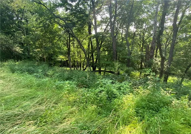 3rd image of 0 East Finley Dr, Donegal, PA 15323 | MLS# 1766923