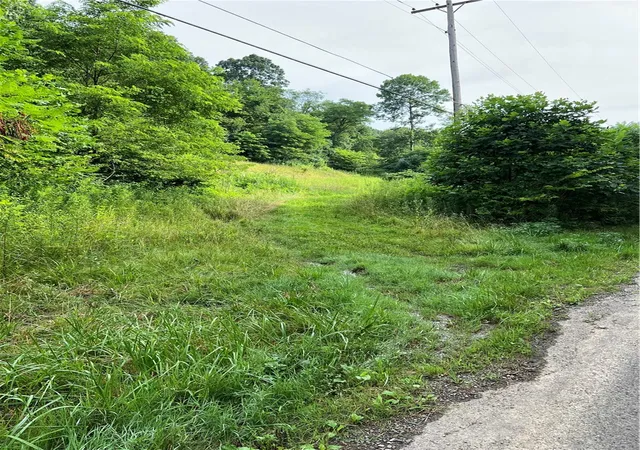 Photo 3 of Land for sale at 138 Friendship Rd, Beaver Falls, PA 15010 | MLS# 1767020 | Listing updated on 2026-07-28